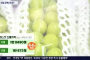 韓国人がパクったシャインマスカット、パクった上に劣化してしまう　1年前に比べ44％値下げ