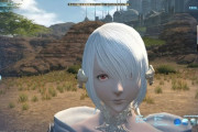 【FF14】キャラメイクガチ勢「課金でいいから顔のタイプやCV〇〇(有名声優さん)を追加してほしい！絶対売れるから！」