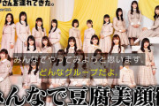 【日向坂46】キャプテン、グループに"豆腐美顔術"を持ち込む可能性w【激レアさん】