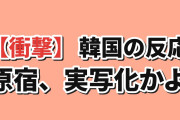 【衝撃】韓国人「原宿、アニメの実写化かよ」