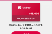 ワイ､謎のボール落とすゲームで45000PayPayポイント獲得！！！！
