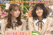 【乃木坂46】この清宮レイ、ジブリ感が強いｗｗｗｗｗｗ