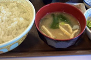 【見切れ】少食デブぼく、すき家で優雅に朝飯【画像あり】