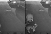 女性が犬の散歩で糞を放置→防犯カメラ確認→犯人は飼い主の女性だったと判明