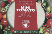 【画像】ダイソーにて200円のキット使用　ミニトマトを育ててみる