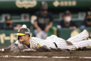 阪神・中野、気迫の本塁突入！「ヘディング」先制生還で前夜エラーの汚名返上