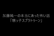 【恐怖】加藤純一「甥っ子とやるためにスプラトゥーン買った！」→甥っ子はスプラをしてなかった事が判明