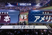 【悲報】野球WBC、地上波全敗！Netflix日本国内独占放映権獲得「今回はリベンジと称して米国がメジャー1軍のスター軍団なのに」