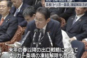 岸田首相「トリガー条項の凍結解除も含め検討する」