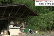 【岩手】クマ、民家の物置に侵入…梅酒を飲んで逃走