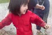 【動画】女児さん、田植えでじいじを道連れにするｗｗｗｗｗ