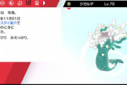 【超自慢】ポケモン剣盾「ダイアドベンチャー」で色違いのジガルデ捕まえた！！