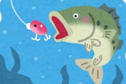 ブラックバス釣りしてる奴に聞きたいんだが海が遠いからしてるんだよな？バス釣り何が楽しいんだ？