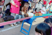 【確定版】動物園で最もテンションが上がる生き物ナンバーワン決定戦