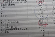 【画像】ワイの採血結果、ヤバすぎる…