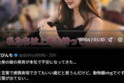 【炎上】元AKB48板野友美の子育て動画がヤバイと炎上→3300万バズｗｗｗｗｗｗｗｗｗｗｗｗｗ