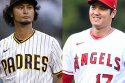田中将大、松坂大輔、ダルビッシュ、大谷翔平、菅野智之の中で各能力順に並べるとしたら？
