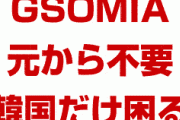日本「韓国とのGSOMIAは不要」「むしろ日本は締結に消極的だった」　終わったな…