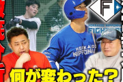高木豊「清宮は今年30発いける！あの子はローボールヒッター。高めに手を出さなかったらクリアできる」