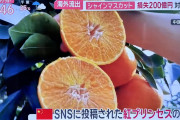 中韓と信頼関係って無理だろ　〜　【スポニチ】 玉川徹氏　紅プリンセスなどブランド農産物の海外流出に「行きつくところは政府と政府の信頼関係」