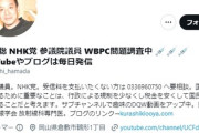 N党・浜田議員（医師）、ガーシー説得にドバイへ　→機内でドクターコール　乗客緊急出産