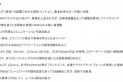 デジタル庁さんの開発エンジニア応募必須条件がこちら※賞与・昇給はありません