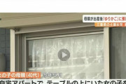 【社会】赤ちゃんポストに捨てられた子を親に戻した結果