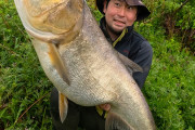陽キャ「江戸川でめっちゃでかい魚釣れたw」ﾊﾟｼｬｯ
