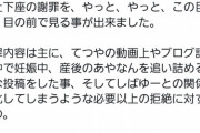 東海オンエアとあやなんの騒動、てつやがあやなんに土下座して終了