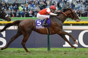 【19年JCなどＧＩ２勝】スワーヴリチャードが引退、種牡馬入り