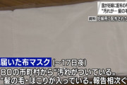 厚労省が汚れたマスクを妊婦に配布して海外びっくり仰天！（海外の反応）
