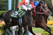 ホーさん、2週目にして新潟競馬場攻略ｗ