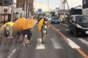 【動画】 子供たちが渡ろうとしているのにいるのに全く車が止まらない横断歩道が話題に　小山市県道33号