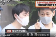 JCを脅して性的暴行を加えたイケメン(24)逮捕ｗｗｗｗｗｗ （※画像あり）