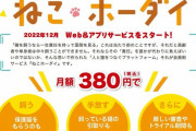 月額380円で猫を借りられるサブスク「ねこホーダイ」、炎上