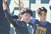 阪神　ＳＧＬが立石を含む新人フィーバー　平日の午前に来場者が約８００人　８日も内野スタンドを無料開放予定
