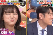 【櫻坂46】原田泰造さん、原田葵ちゃんに完落ちwwww【ジョブチューン】