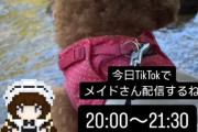 【元STU48】星乃まりな、本日20:00〜 メイド配信【TikTokライブ】