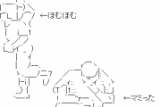 【まどマギ】まどか「ほむらちゃんは悪くない！」さやか「マミさんが正しい！」