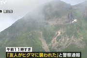 北海道羅臼岳で「友人がヒグマに襲われた」と通報、友人は引っ張られて姿が見えなくなる