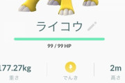 ポケモンの単タイプってなんか救済措置あってもよくない？