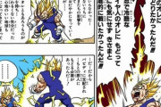 ドラゴンボールってさ結局ベジータが一番人間味があってかっこいいよね