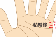 【手相】結婚線って実際当たる？？