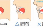 【画像】口の中の『舌のベストポジション』がこれだった…