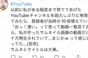 【朗報】ゆっくり商標騒動の柚葉さん、ガチの有能だったｗｗｗｗ