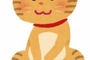 猫動画「にゃーん」ワイ「可愛いなぁ」おっさんの声「甘えん坊だなあ」ワイ「」動画停止低評価ポチ