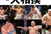 相撲の知識が若貴、曙小錦とかで止まってる奴