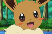 【謎】未だにイーブイより可愛いポケモンが存在しない理由