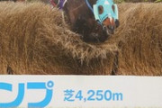 【悲報】オジュウチョウサン、障害を飛んでなかった