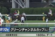 オパールステークス(L).グリーンチャンネルカップ(L)